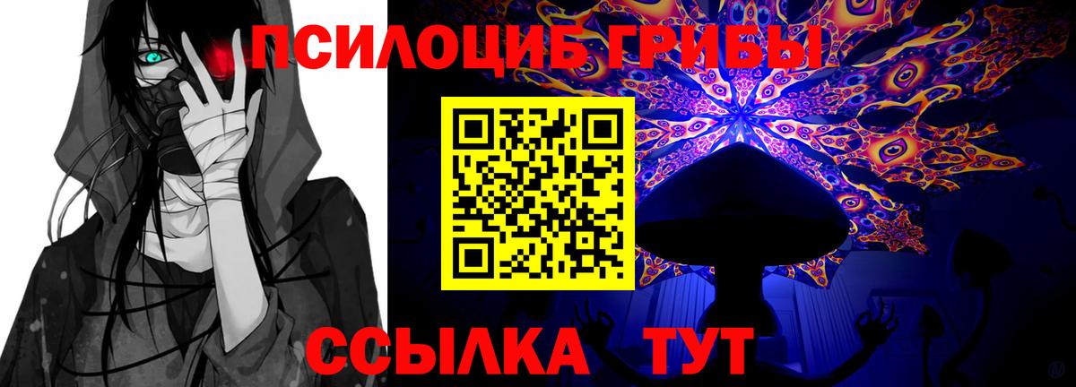 Псилоцибиновые грибы GOLDEN TEACHER  Вход с VPN  где купить наркотик  Гудермес 