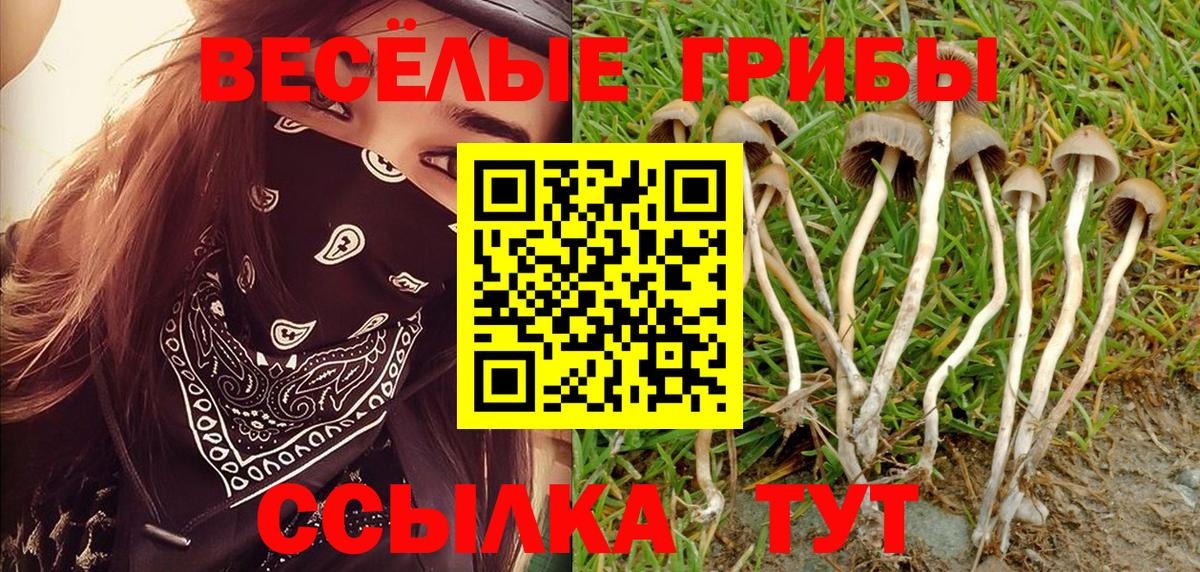 Псилоцибиновые грибы ЛСД Гудермес